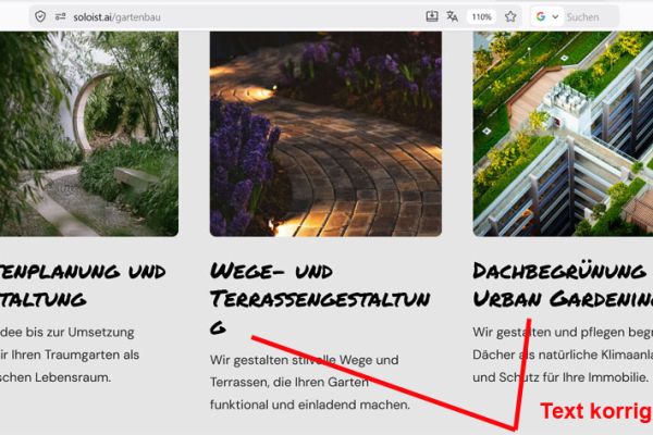 solo-textkorrektur-1DA7142AF-A58F-7D07-F737-14CD8EF21BBA.jpg